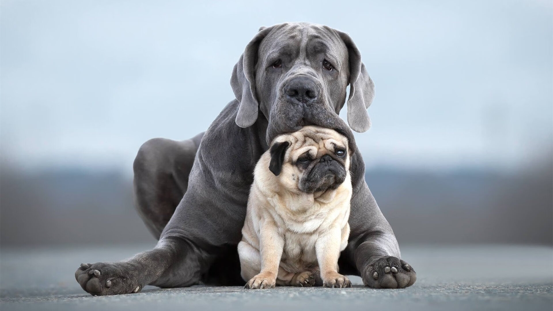 开云体育入口-班凯罗闪耀！森林狼完胜新疆，他成全场最无解的关键先生