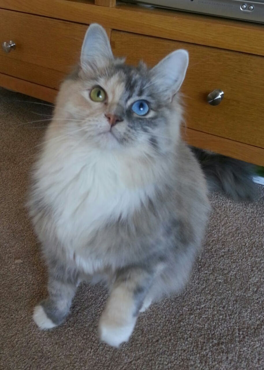 开云体育-敢让拉梅洛放开抡的球队，最后都后悔了